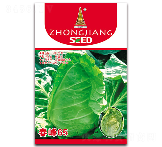 春峰65-甘藍種子-中江農(nóng)業(yè)