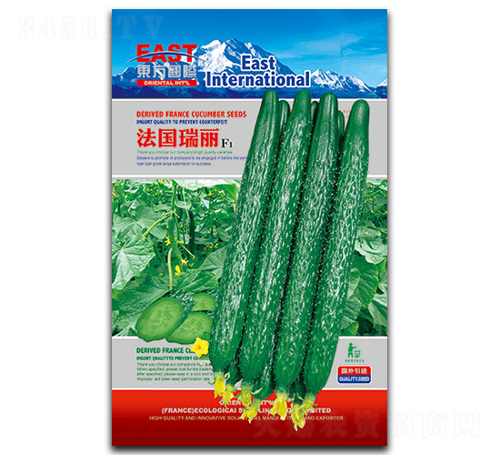 法國(guó)瑞麗-黃瓜種子-祥瑞達(dá)