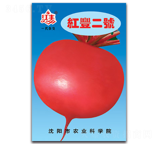 紅豐二號-蘿卜種子-豐農(nóng)農(nóng)業(yè)