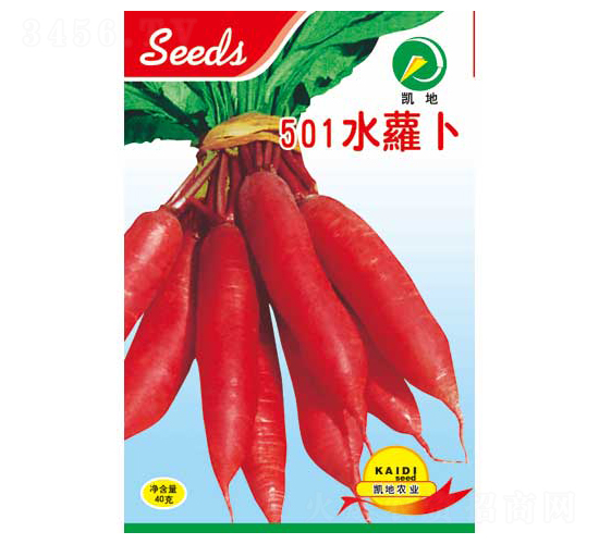 501水蘿卜-蘿卜種子-凱地農(nóng)業(yè)