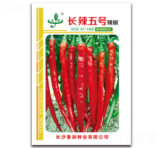長辣五號-辣椒種子-春潤種業(yè)