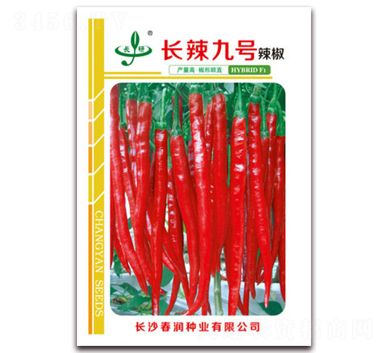 長辣九號(hào)-辣椒種子-春潤種業(yè)