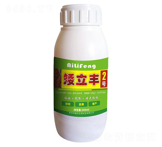 矮立豐2號(hào)-禾植豐