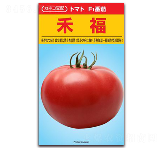 禾福-番茄種子-禾誠(chéng)種苗