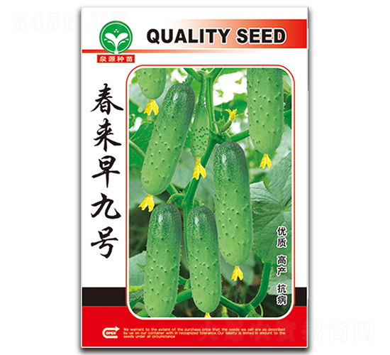 春來早九號-黃瓜種子-泉源