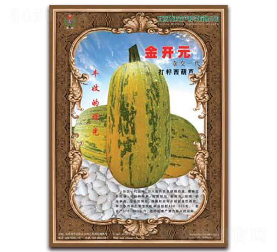 金開(kāi)元-打籽西葫蘆種子-兄弟