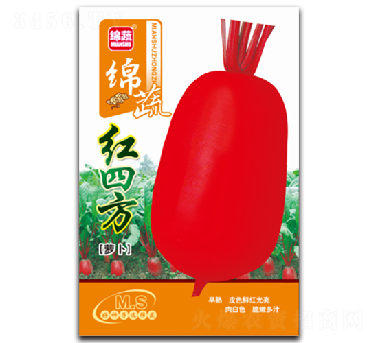 紅四方-蘿卜種子-綿蔬種業(yè)