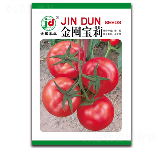 金囤寶莉-番茄種子-金囤農(nóng)業(yè)