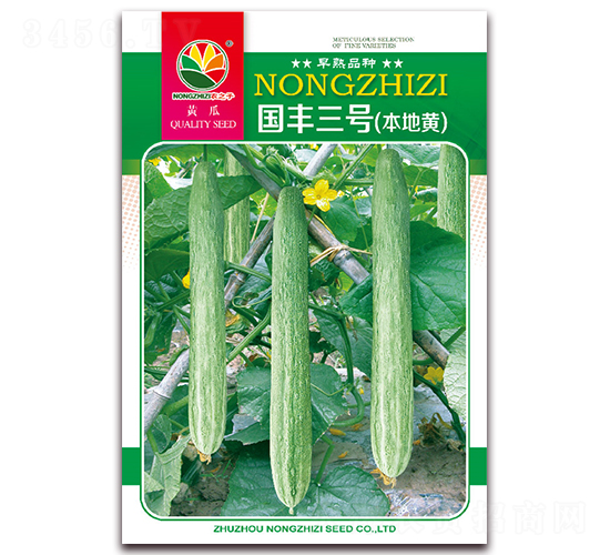 國(guó)豐三號(hào)-黃瓜種子-農(nóng)之子