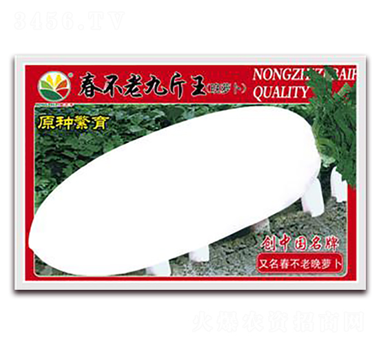 春不老九斤王-蘿卜種子-農(nóng)之子