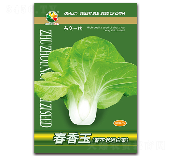 春香玉-春不老遲白菜種子-農之子