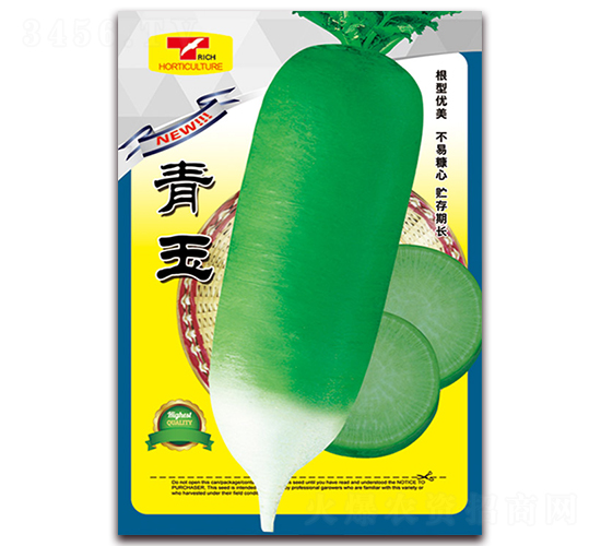 青玉-蘿卜種子-天星種業(yè)