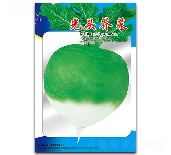 光頭芥菜-蘿卜種子-天星種業(yè)
