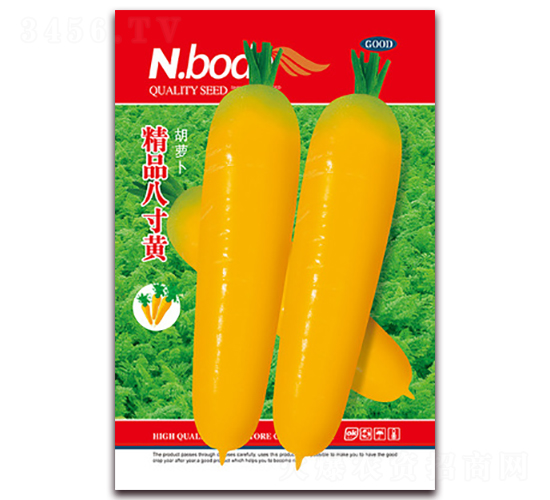 精品八寸黃-胡蘿卜種子-鑫博大
