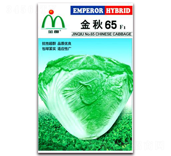 金秋65-大白菜種子-金鵬