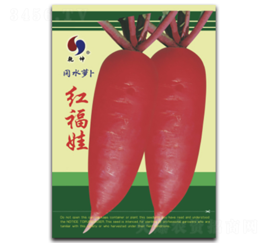 紅福娃-蘿卜種子-乾坤種業(yè)
