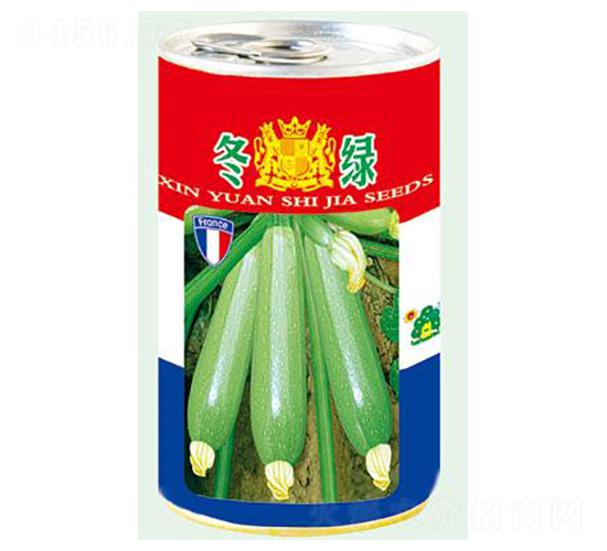 冬綠-西葫蘆種子-鑫園世家