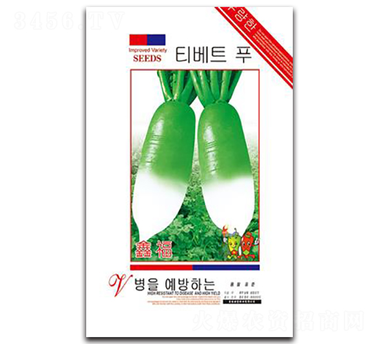鑫福-蘿卜種子-鑫園世家