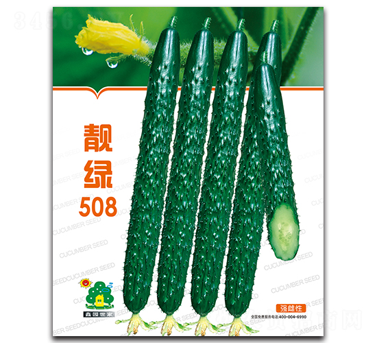 靚綠508-黃瓜種子-鑫園世家