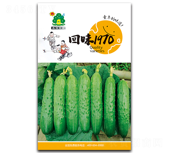 回味1970-黃瓜種子-鑫園世家
