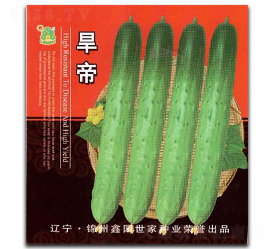 旱帝-黃瓜種子-鑫園世家