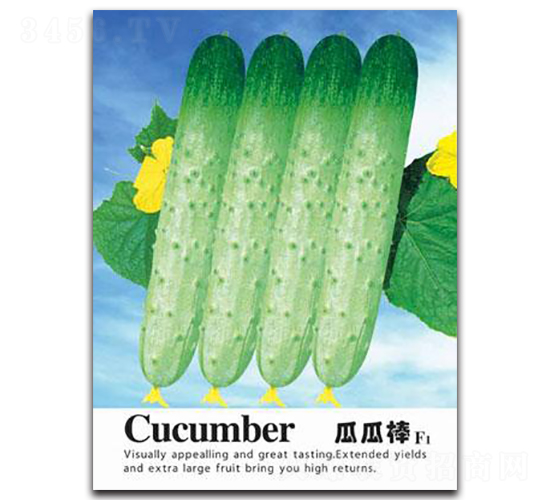 瓜瓜棒-黃瓜種子-鑫園世家