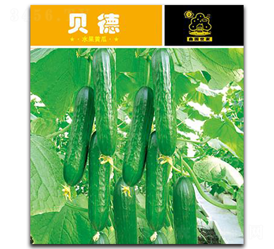貝德-黃瓜種子-鑫園世家