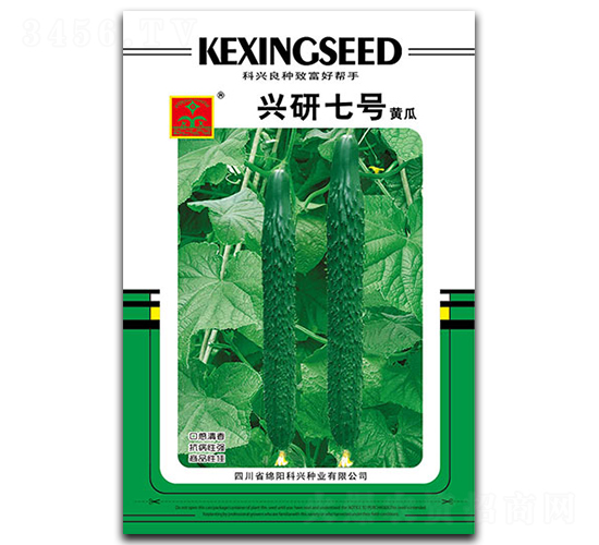 興研七號-黃瓜種子-科興種業(yè)