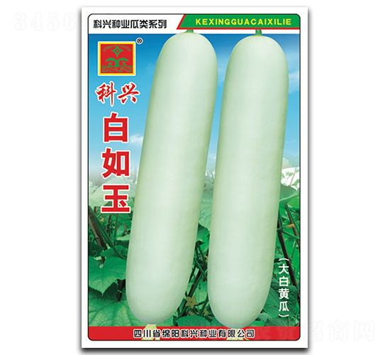 白如玉-黃瓜種子-科興種業(yè)