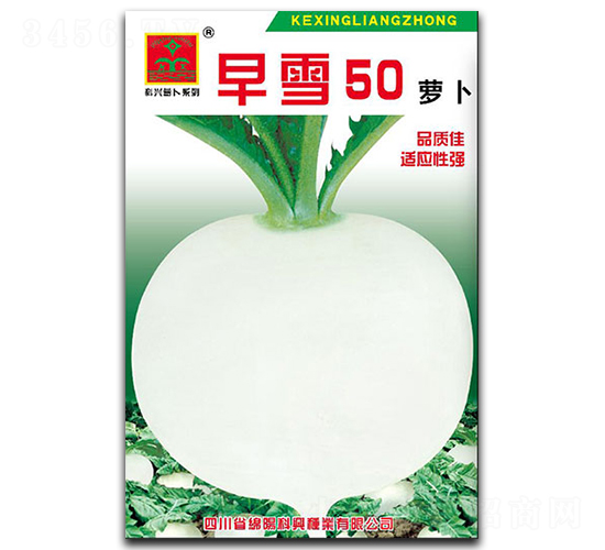 早雪50-蘿卜種子-科興種業(yè)
