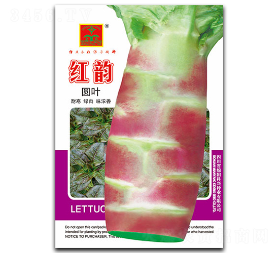紅韻-萵筍種子-科興種業(yè)