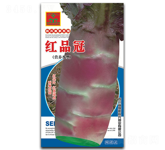 紅品冠-萵筍種子-科興種業(yè)