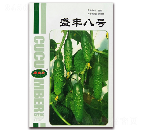 盛豐八號-黃瓜種子-華盛達(dá)
