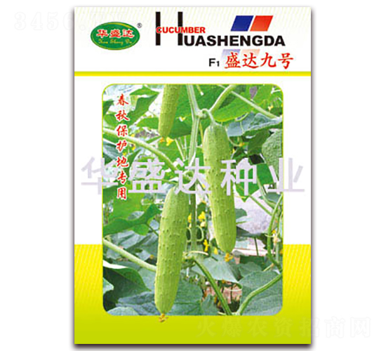 F1盛達(dá)九號-黃瓜種子-華盛達(dá)