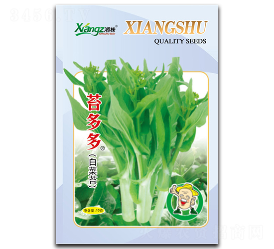 苔多多-菜苔種子-湘蔬種業(yè)