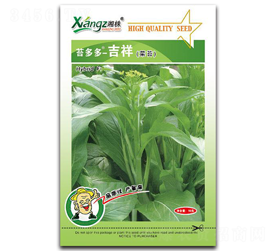 苔多多-吉祥-菜苔種子-湘蔬種業(yè)