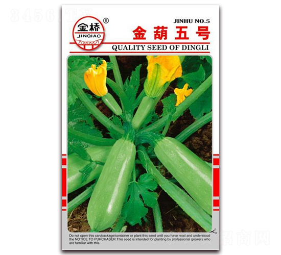 金葫五號-西葫蘆種子-金橋種業(yè)