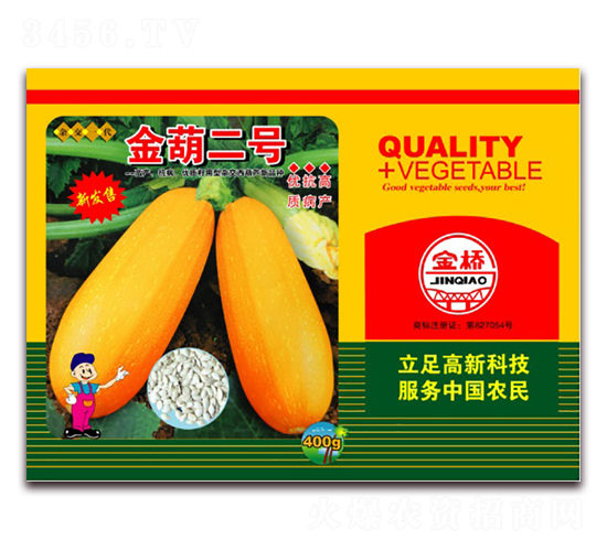 金葫二號(hào)-西葫蘆種子-金橋種業(yè)