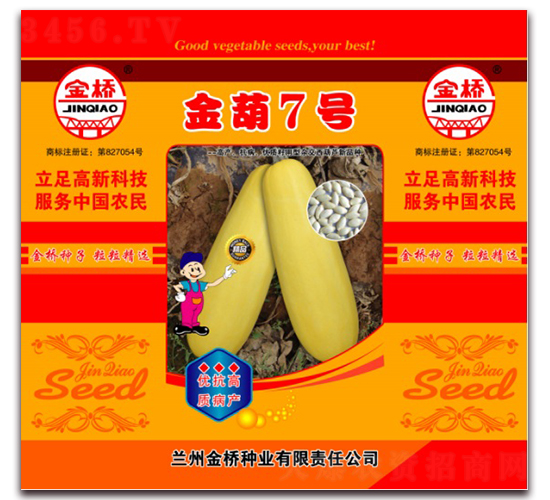 金葫7號-西葫蘆種子-金橋種業(yè)