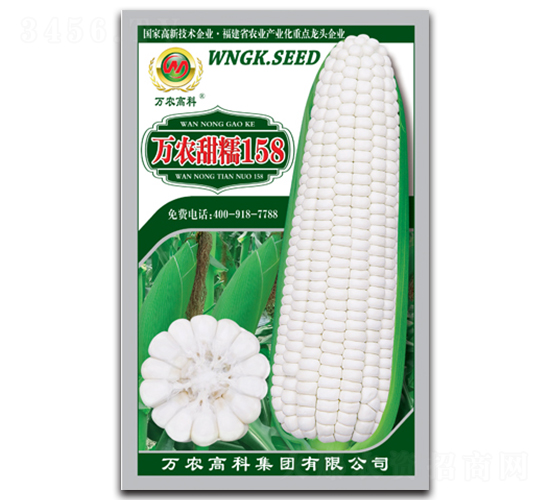萬(wàn)農(nóng)甜糯158-糯玉米種子-萬(wàn)農(nóng)高科