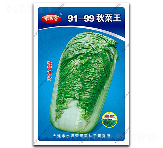 91-99秋菜王-白菜種子-水師營