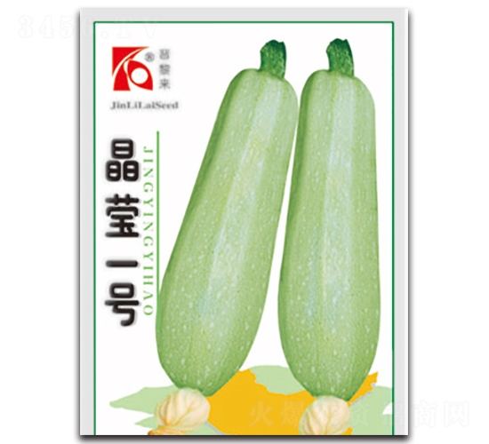 晶瑩一號-西葫蘆種子-晉黎來