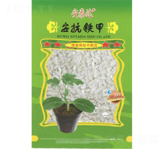 安抗鐵甲-南瓜砧木-安泰達