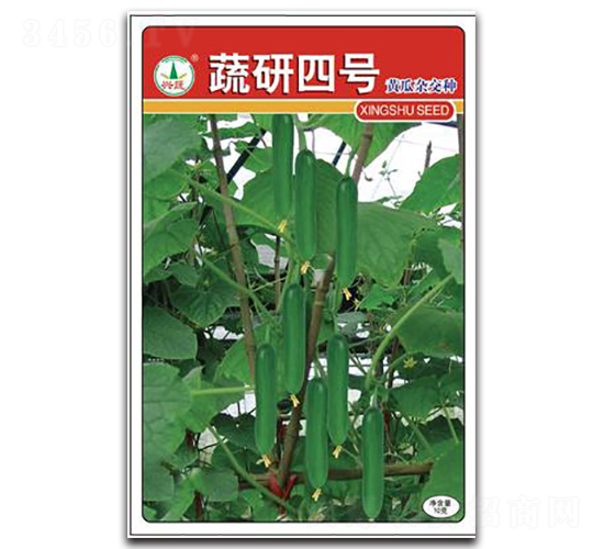 蔬研四號-黃瓜種子-興蔬種業(yè)