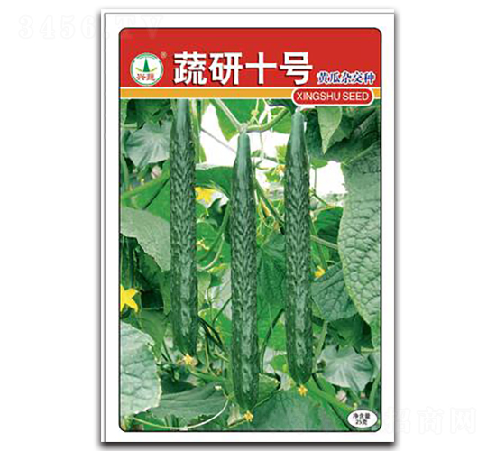 蔬研十號(hào)-黃瓜種子-興蔬種業(yè)