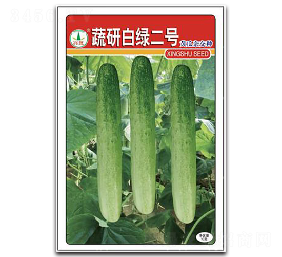 蔬研白綠2號(hào)-黃瓜種子-興蔬種業(yè)