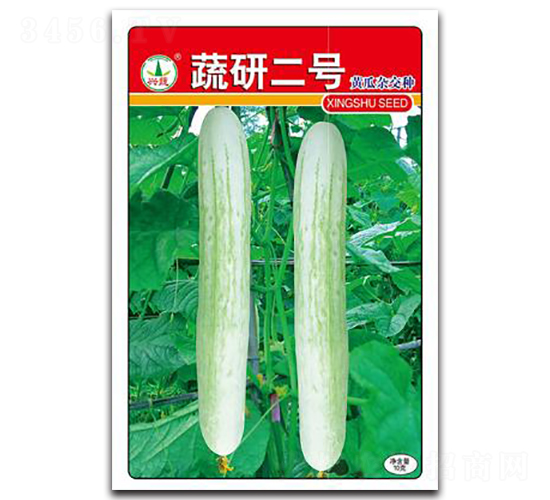 蔬研2號-黃瓜種子-興蔬種業(yè)