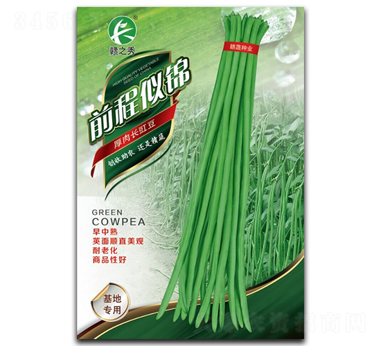 前程似錦-豇豆種子-贛蔬種業(yè)