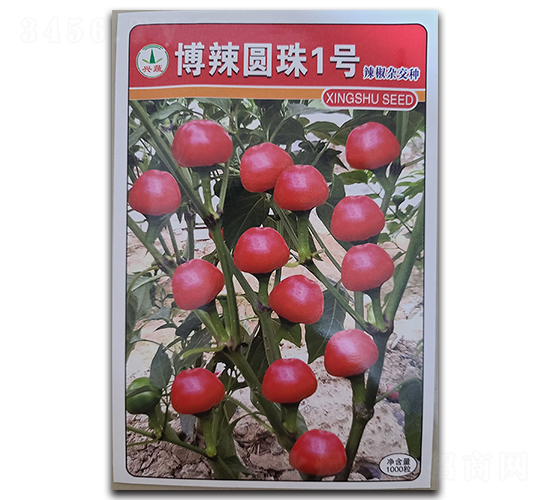 博辣圓珠1號(hào)-辣椒種子-興蔬種業(yè)