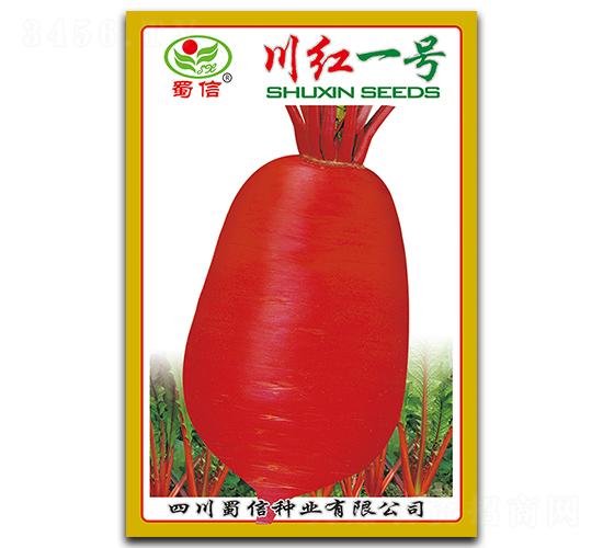 川紅一號(hào)-蘿卜種子-蜀信種業(yè)